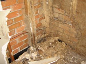 brisbane termite prices on timber home