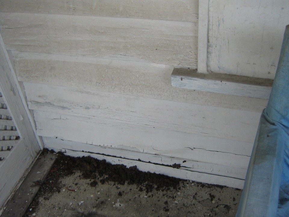 timber termite damage control