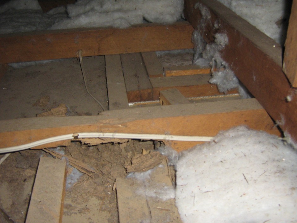 roof timber termites treatment