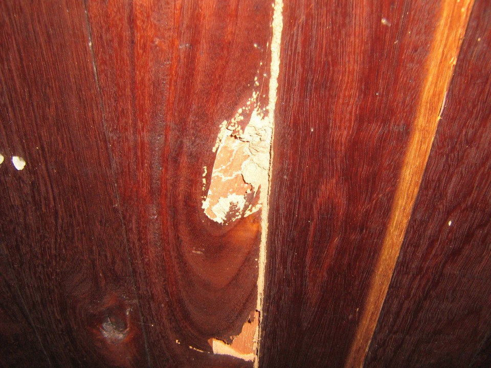 timber rot brisbane prices